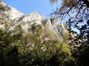 image069